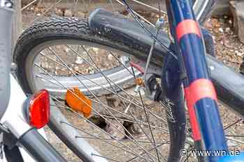 Eskalierendes Ratten-Problem um den Hauptbahnhof