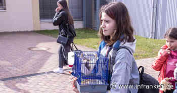 Bamberg: Flucht aus der Ukraine - bisher rund 1000 Flüchtlinge im Landkreis aufgenommen