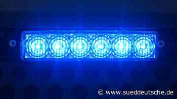 Pferd und Hund sterben bei Brand in der Region Hannover - Süddeutsche Zeitung - SZ.de