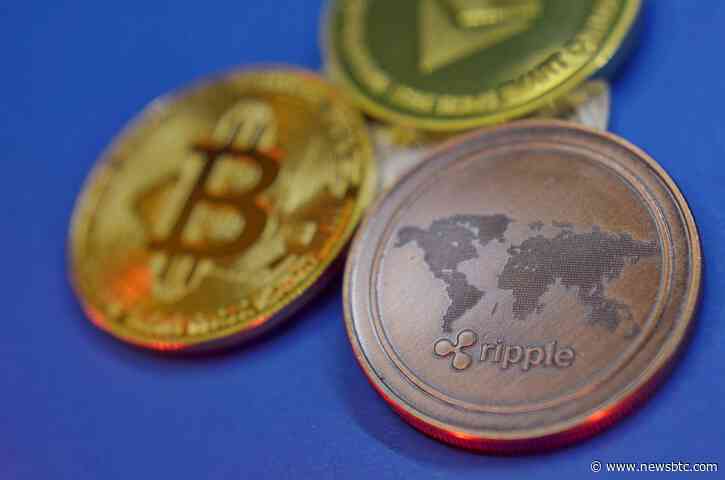 The CEO Of Ripple Says Bitcoin Tribalism Is Holding Back The Crypto Industry