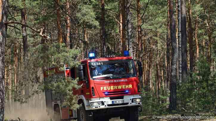 Waldbrand in Unterfranken gelöscht