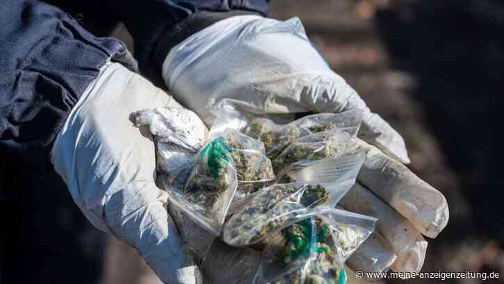 Elf Kilogramm Marihuana sichergestellt