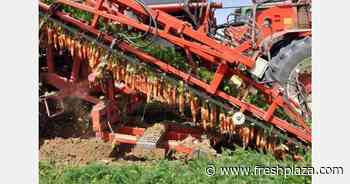 Israeli exporters face real difficulties shipping produce to Russia and Ukraine - FreshPlaza.com