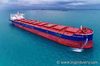 Flag state’s role in decarbonising the shipping industry - LNG Industry