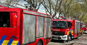 Hond en baasje worden gered uit slijk langs Schelde - Het Laatste Nieuws