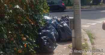 Via Pisa e via San Pancrazio: "Invasi dai rifiuti" - La Sesia | Cronaca