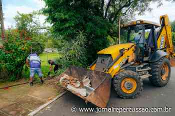 Mutirão de combate à dengue em dois bairros de Campo Bom está marcado para o próximo feriado - Jornal Repercussão