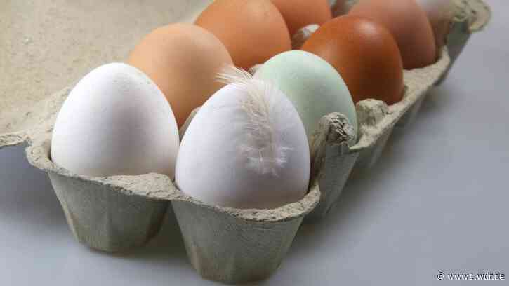 Seniorin musste auf Eier spucken - Betrugsmasche in Soest - WDR Nachrichten