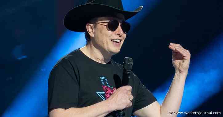 Musk Doubles Down on Netflix Criticism: Woke Green Haired Freaks Ruining Entertainment? 'True'