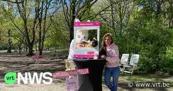 Honden op zoek naar paaseieren in Edegem: "Speciaal recept, want honden sterven van chocolade" - VRT NWS