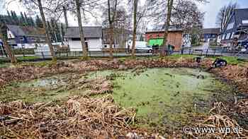 Dorfweiher in Siegen: Stinkender Löschteich ohne Wasser - WP News