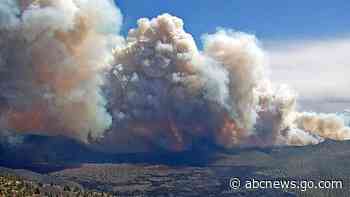 Nearly 800 homes, 1,000 animals evacuated from wildfire