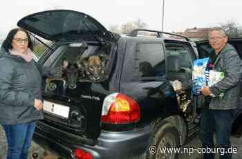 Tiertafel Kronach und Lichtenfels - Wenn das Geld fürs Futter nicht mehr reicht - Neue Presse Coburg