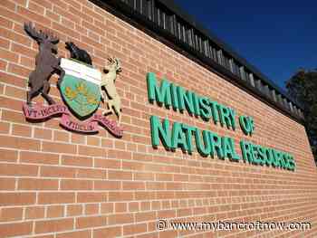 Ministry of Natural Resources and Forestry offering programs for Indigenous peoples