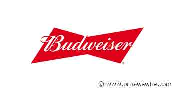 Budweiser lanza The Energy Collective para ayudar a suministrar energía renovable al mundo