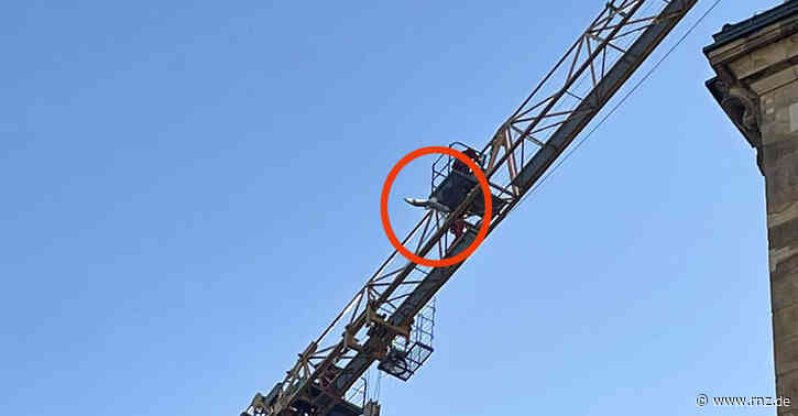 Mannheim:  Rettung aus 50 Metern Höhe