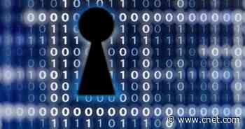 Google Experts Found a Record Number of Zero-Day Security Bugs Last Year     - CNET