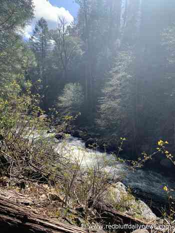 Deer Creek hike planned for Saturday - Red Bluff Daily News