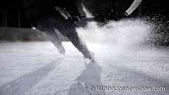 Red Deer to host entire Hlinka Gretzky Cup - Lethbridge News Now