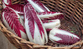 Da venerdì in regalo con La Settimana di Saronno la cicoria rossa di Treviso - Prima Saronno
