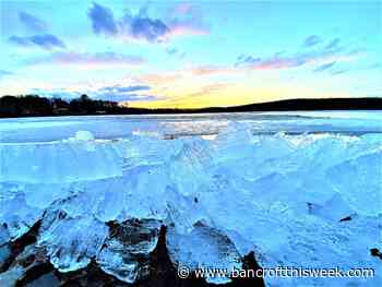 Say their names, learn their stories | Bancroft this Week - Bancroft This Week