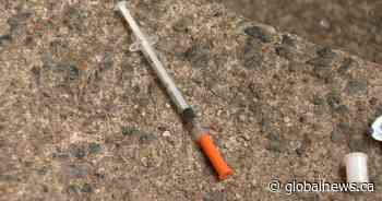 Saskatoon partnership will be out in the community for annual needle cleanup - Global News