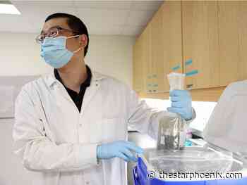 COVID-19 virus surges in Saskatoon, P.A., North Battleford sewage data - Saskatoon Star-Phoenix