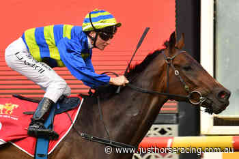 Ice Pick Nick chasing rich VOBIS Gold Dash - Just Horse Racing