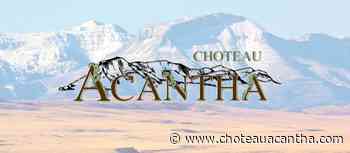 Live Your Dash Auto Show set for May 7 in FF - Choteau Acantha