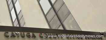 Cayuga County Attorneys Protest - Finger Lakes Daily News