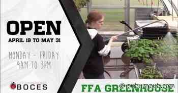 Watch Now: Cayuga-Onondaga BOCES greenhouse plant sales start - The Citizen