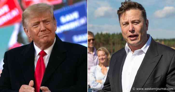 Musk Officially Sounds Like Trump: Declares 'Woke Mind Virus' the Greatest Threat to Civilization
