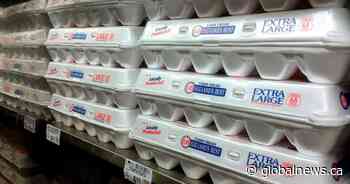 Food affordability a challenge in New Brunswick amid economic uncertainty