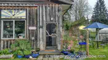 Edible Notables: Clever Crow Farm - My Comox Valley Now