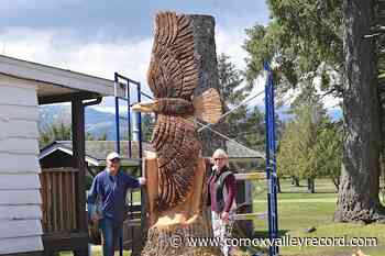 Eagle carving nears completion at Courtenay golf course – Comox Valley Record - Comox Valley Record