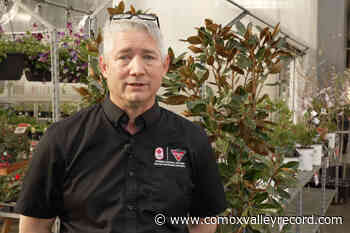 Grow your career with Canadian Tire’s Garden Centre team - Comox Valley Record