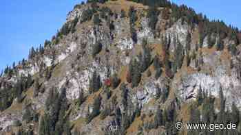 Deutschlands Alpen wachsen mit Wäldern zu - GEO.de