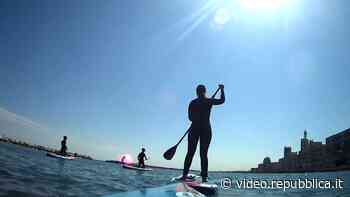 Bari, gli studenti fanno lezione in mare: 'Il sup tra le materie scolastiche' - Repubblica TV