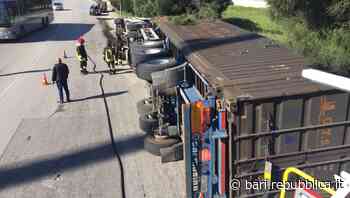 Bari, tir si ribalta in curva e abbatte un albero in via di Maratona nel quartiere Marconi - La Repubblica