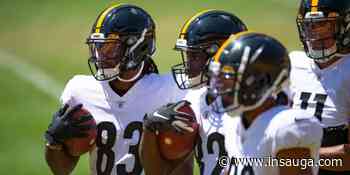 Hamilton Tiger-Cats add former Pittsburgh Steelers receiver Anthony Johnson | inTheHammer - insauga.com