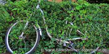 Wenn Büsche auf die Straße wuchern: Gemeinde im Kreis Hildesheim setzt Grenzen - www.hildesheimer-allgemeine.de