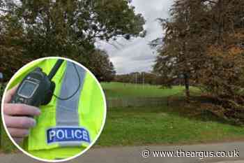 Girl, 12, arrested following an assault in Buckingham Park, Shoreham - The Argus