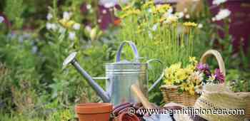 MASTER GARDENER: Gardening with children has lifelong benefits - The Bemidji Pioneer