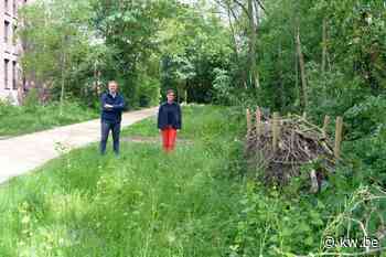 Izegem vraagt subsidie aan voor groene verbinding en om rivier de Mandel weer bovengronds halen - KW.be