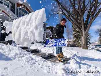 COVID-19 Live Updates: News on coronavirus in Calgary for April 20 - Calgary Herald