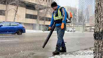 Petition pushes for ban on gas-powered leaf blowers in Calgary - CTV News Calgary