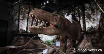 Tweet on gender participant numbers for Alberta science camp spurs clarification from organizers