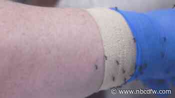 Consumer Reports' Top Tested Bug Repellents - NBC 5 Dallas-Fort Worth