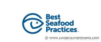 GSA seeks more seafood sales with first consumer ad campaign - Undercurrent News