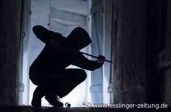 Diebstahl in Leinfelden-Echterdingen - Unbekannter stiehlt Werkzeuge aus Baustellencontainer - esslinger-zeitung.de